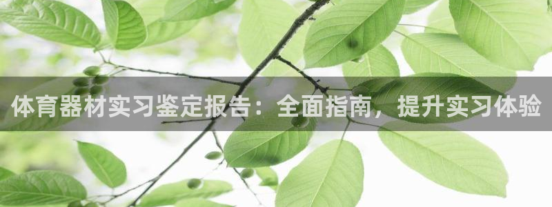 星欧娱乐银行卡怎么登录：体育器材实习鉴定报告：全面指