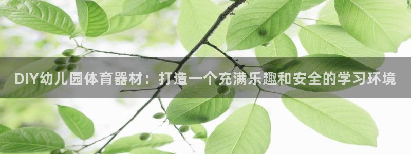 星欧娱乐测速软件下载：DIY幼儿园体育器材：打造一个