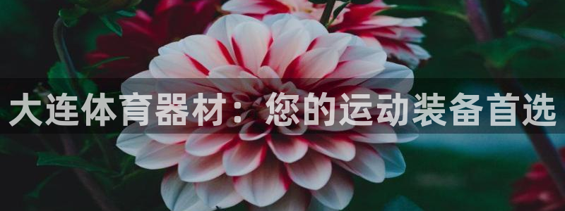 传奇星娱乐：大连体育器材：您的运动装备首选