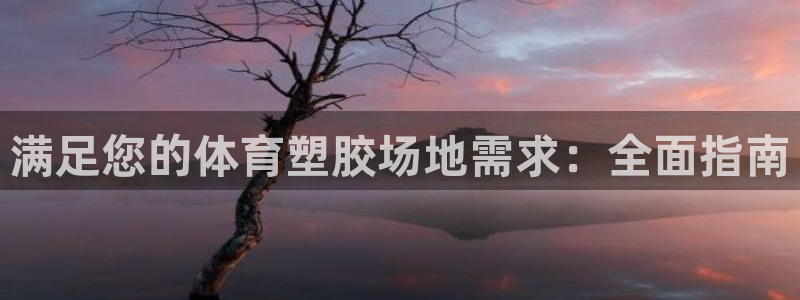 星欧娱乐扣款时间查询方法是什么：满足您的体育塑胶场地