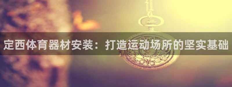 星欧娱乐是正规平台吗安全吗是真的吗：定西体育器材安装