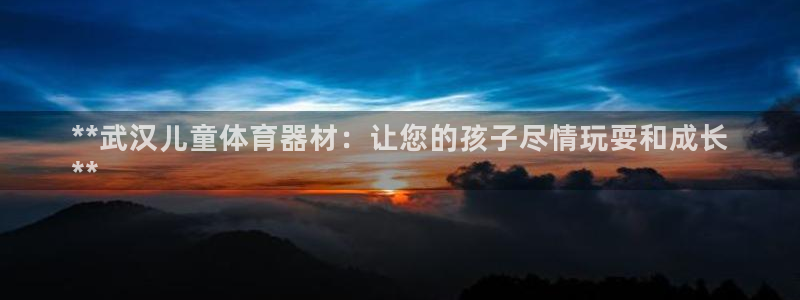 星欧娱乐公司简介：**武汉儿童体育器材：让您的孩子尽