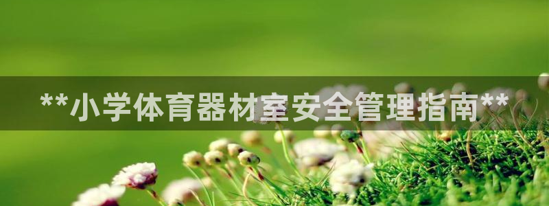 星欧娱乐平台怎么样知乎赚钱吗：**小学体育器材室安全
