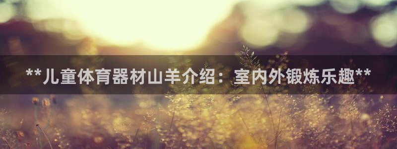 星欧娱乐官网下载安装：**儿童体育器材山羊介绍：室内