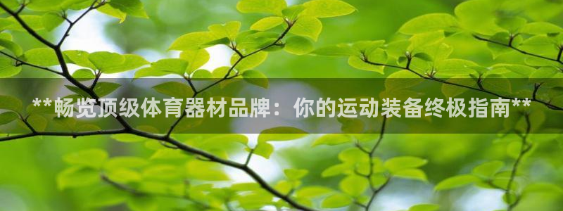 星欧娱乐是正规平台吗安全吗可靠吗：**畅览顶级体育器