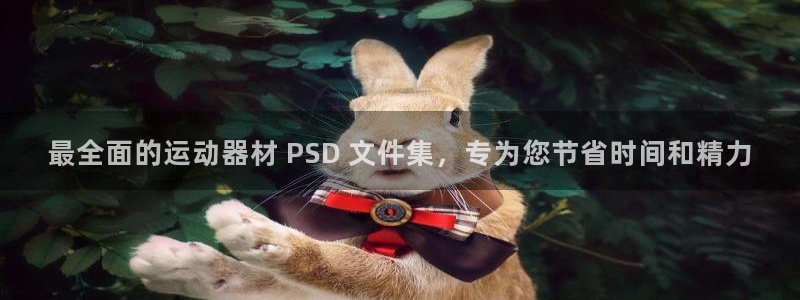 星欧娱乐平台都7O777：最全面的运动器材 PSD 