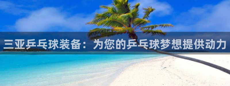 星欧娱乐最建议买的三个产品是什么呢：三亚乒乓球装备：