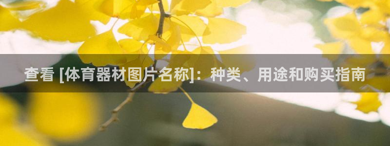 星奥娱乐集团怎么样：查看 [体育器材图片名称]：种类