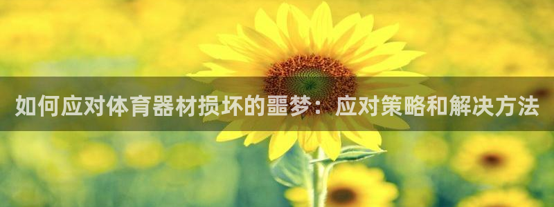 星欧娱乐最建议买的三个游戏是什么：如何应对体育器材损
