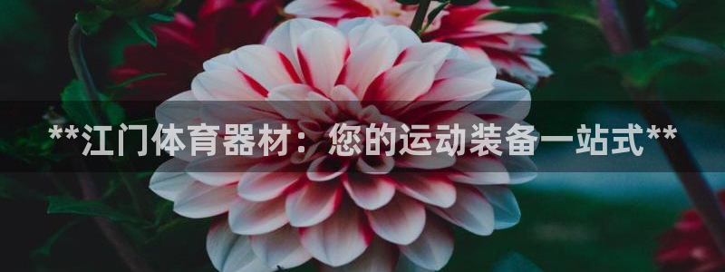 星乐娱乐官网：**江门体育器材：您的运动装备一站式*