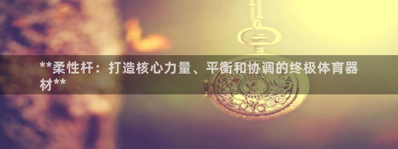 星欧娱乐最建议买的三个产品：**柔性杆：打造核心力量