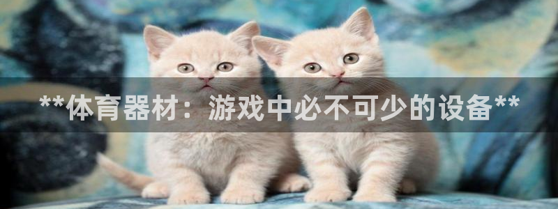 星欧娱乐最建议买的三个产品有哪些：**体育器材：游戏