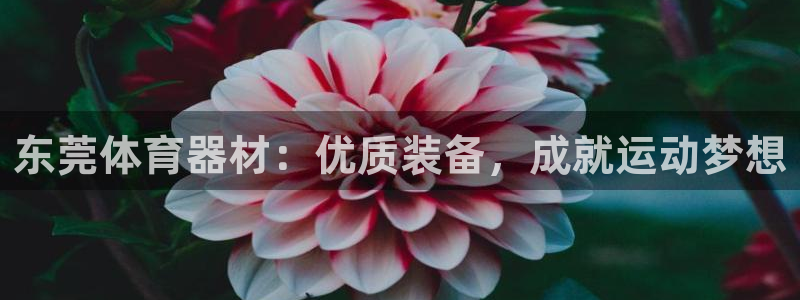 星欧娱乐巴711.112扣费记录查询方法：东莞体育器