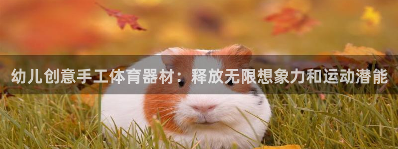 星欧娱乐扣款时间查询方法是什么：幼儿创意手工体育器材