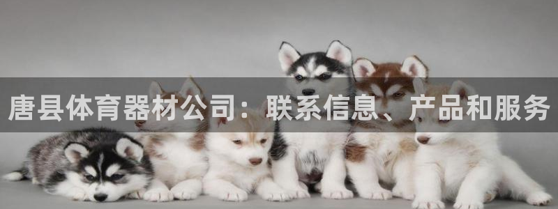 星欧娱乐联和哪个品牌合作：唐县体育器材公司：联系信息