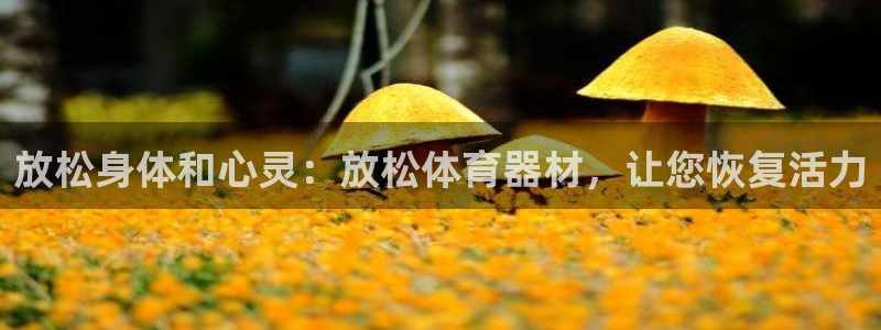 星欧娱乐平台怎么样知乎推荐：放松身体和心灵：放松体育