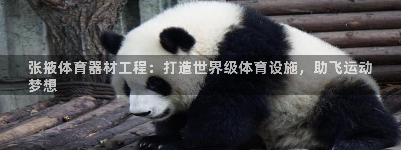 星欧娱乐扣款怎么回事：张掖体育器材工程：打造世界级体