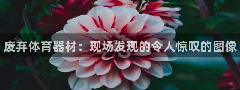 星欧娱乐属于什么档次的网站：废弃体育器材：现场发现的