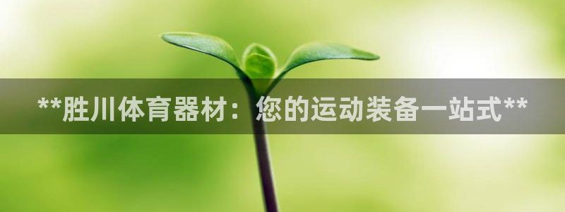 星欧娱乐扣款6II2是什么情况：**胜川体育器材：您