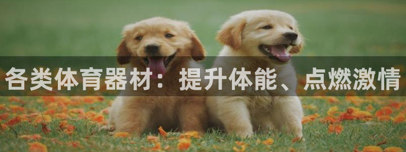星欧娱乐属于什么档次的软件公司：各类体育器材：提升体
