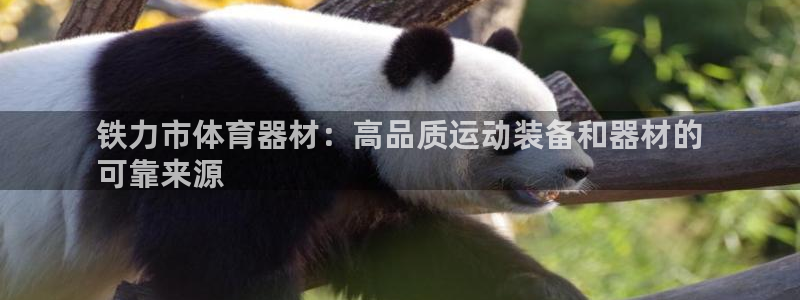 星欧娱乐公司简介：铁力市体育器材：高品质运动装备和器