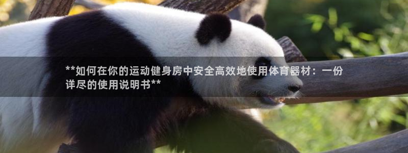 星欧娱乐扣款时间查询方法：**如何在你的运动健身房中