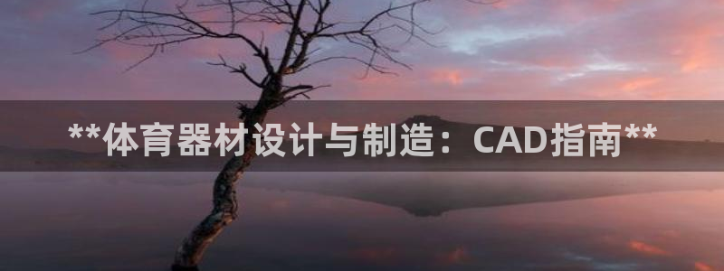 星欧娱乐app最新版本更新内容是什么：**体育器材设