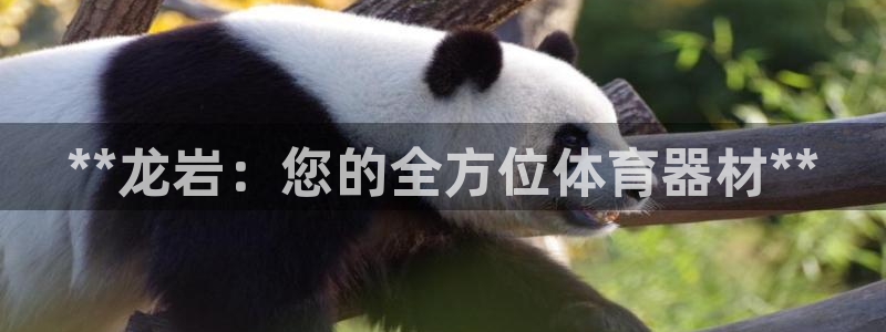 星欧娱乐属于什么档次的公司名称：**龙岩：您的全方位