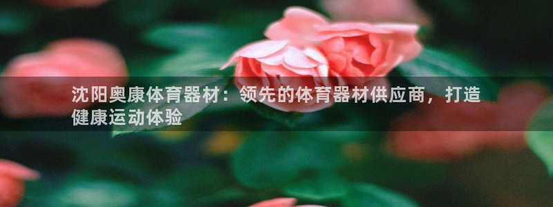 星欧娱乐属于什么档次：沈阳奥康体育器材：领先的体育器