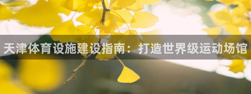 星娱乐是谁的公司：天津体育设施建设指南：打造世界级运
