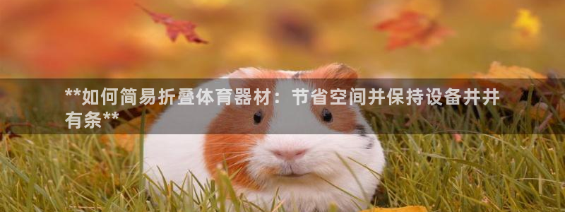 星欧娱乐平台怎么样啊安全吗：**如何简易折叠体育器材
