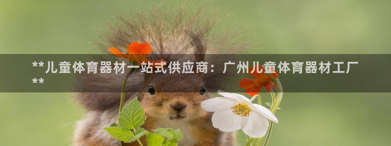 星欧娱乐的创始人背景故事：**儿童体育器材一站式供应