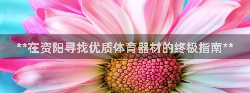 江苏星奥娱乐招艺人：**在资阳寻找优质体育器材的终极指南**