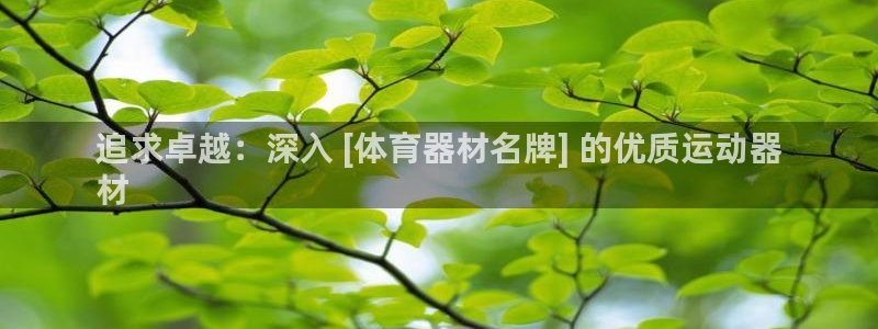 星欧娱乐雀V是什么平台：追求卓越：深入 [体育器材名