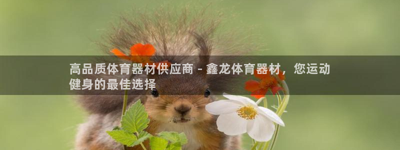 星欧娱乐属于什么档次：高品质体育器材供应商 - 鑫龙体育器材