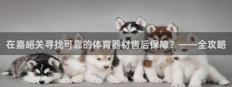 星欧娱乐公司创始人背景故事：在嘉峪关寻找可靠的体育器