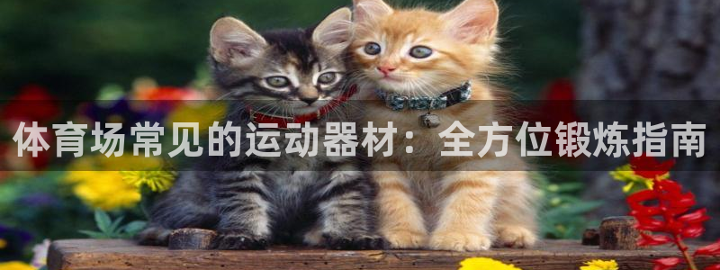 星欧娱乐官方客服联系方式是什么：体育场常见的运动器材