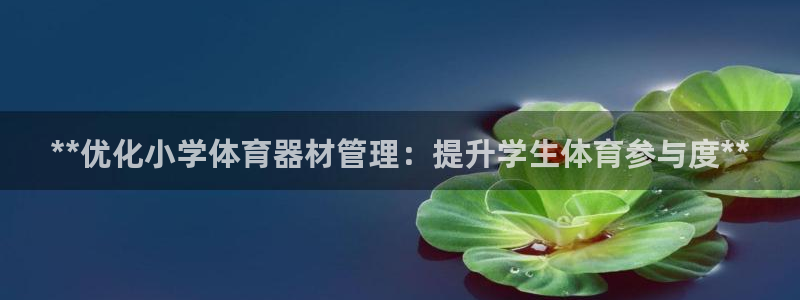 星欧娱乐公司创始人背景故事：**优化小学体育器材管理