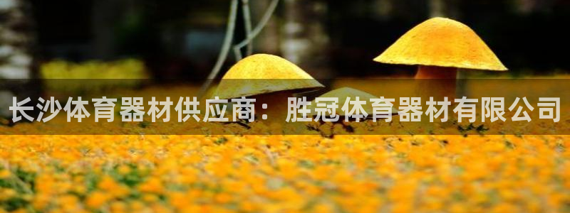 星欧娱乐联最新新闻：长沙体育器材供应商：胜冠体育器材有限公司