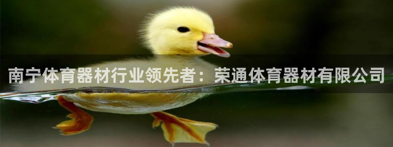 星欧娱乐官网：南宁体育器材行业领先者：荣通体育器材有