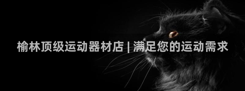 星欧娱乐法711.112扣费如何处理：榆林顶级运动器