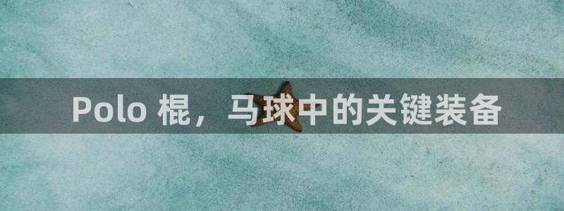 星欧娱乐官方客服联系方式电话： Polo 棍，马球中