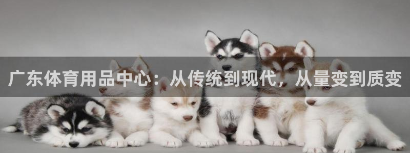 星欧娱乐的创始人背景故事