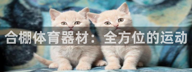 星欧娱乐挂机教程视频
