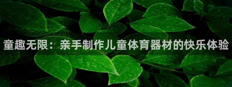 星欧娱乐扣款6II2是什么情况