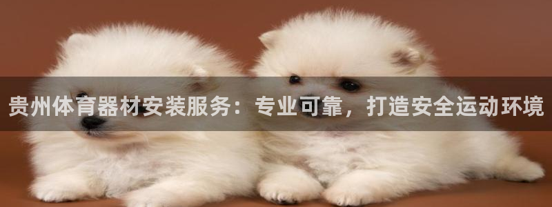星奥娱乐集团股份有限公司官网：贵州体育器材安装服务：专业可靠