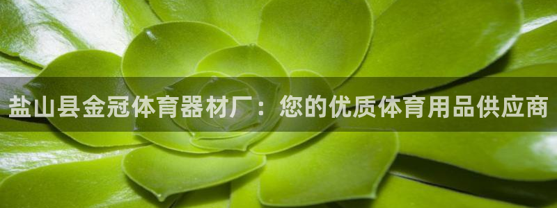 星欧娱乐彩票软件下载：盐山县金冠体育器材厂：您的优质体育用品