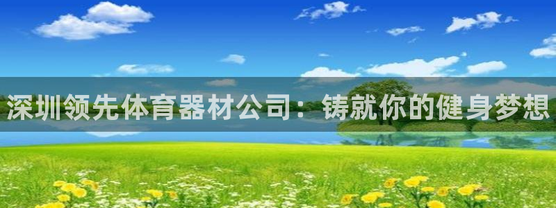 星欧娱乐扣款流程详解图高清：深圳领先体育器材公司：铸