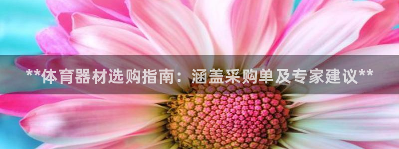 星欧娱乐平台道7O777