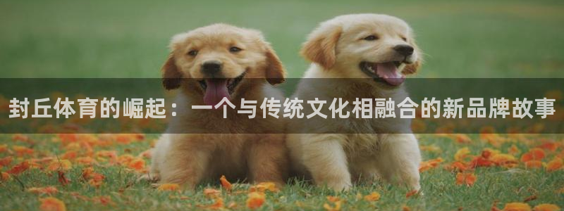 星欧娱乐官网首页入口
